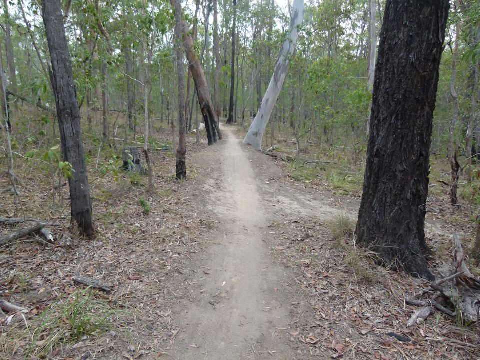 P1150789.jpg